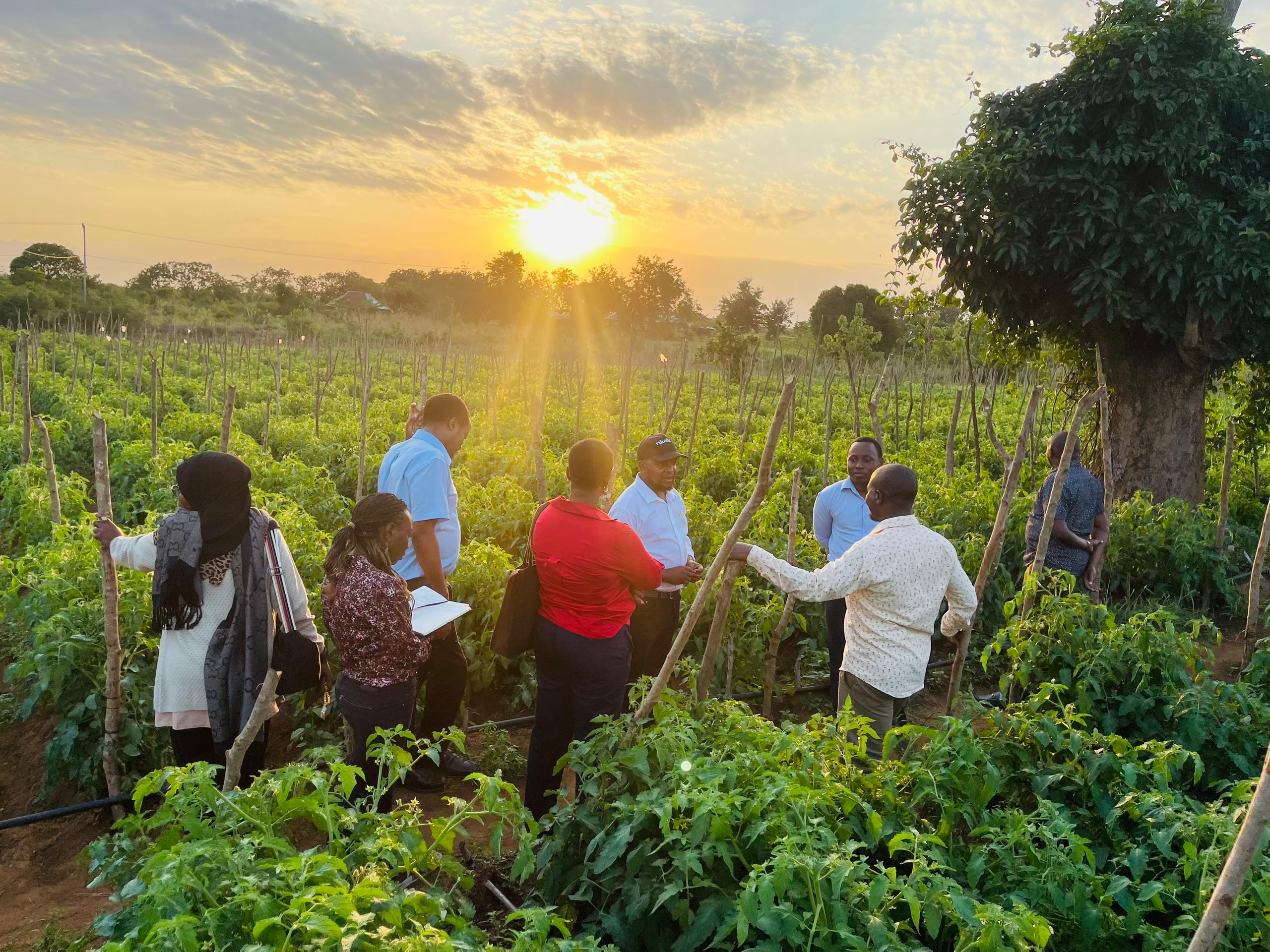 picha ya mada - BUSINESS DEVELOPMENT SERVICES (BDS)