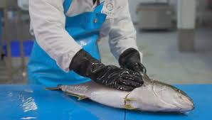 picha ya mada - Uchakataji wa Mazao ya Uvuvi