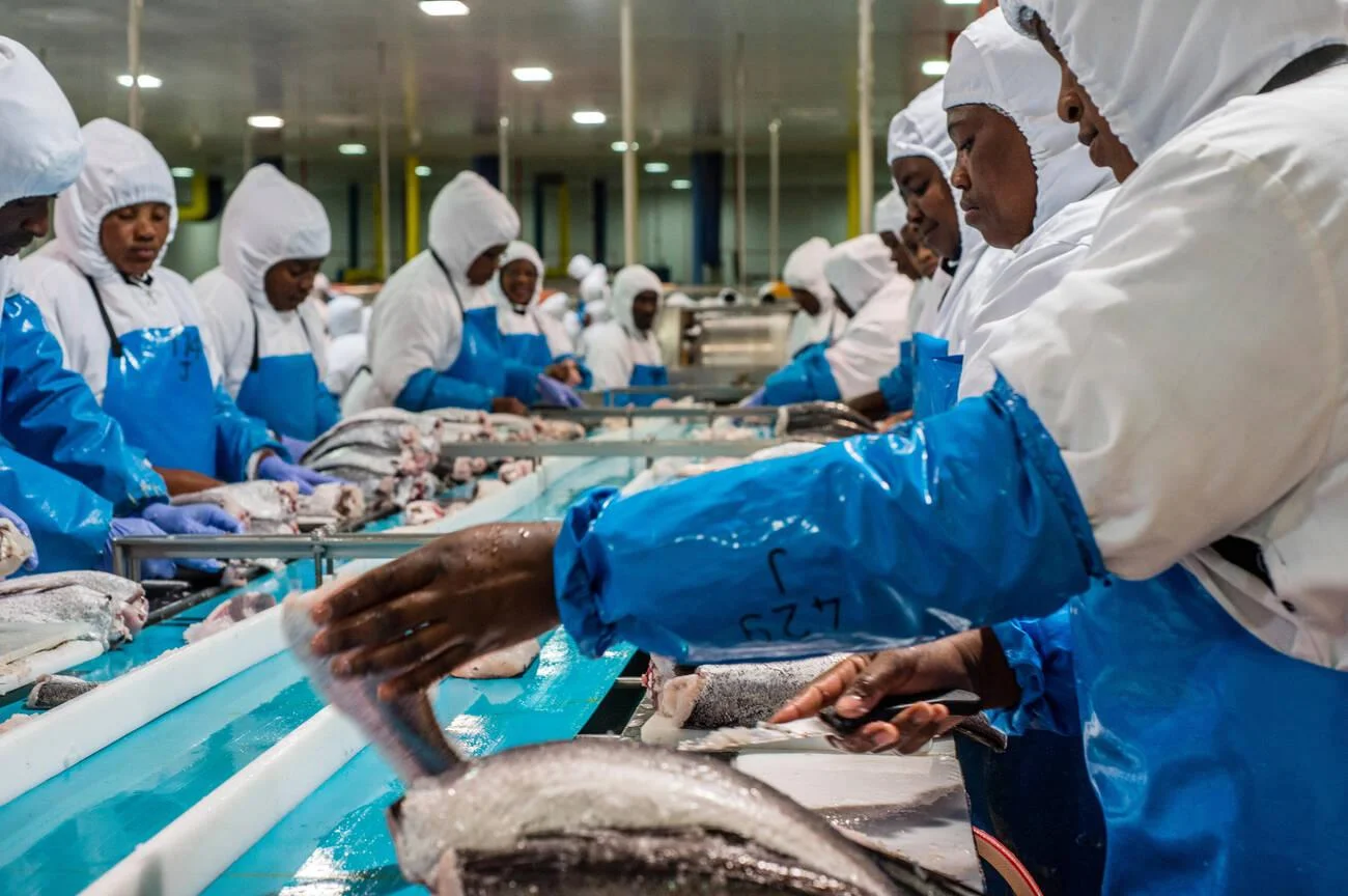 picha ya mada - Usindikaji wa Dagaa na Samaki